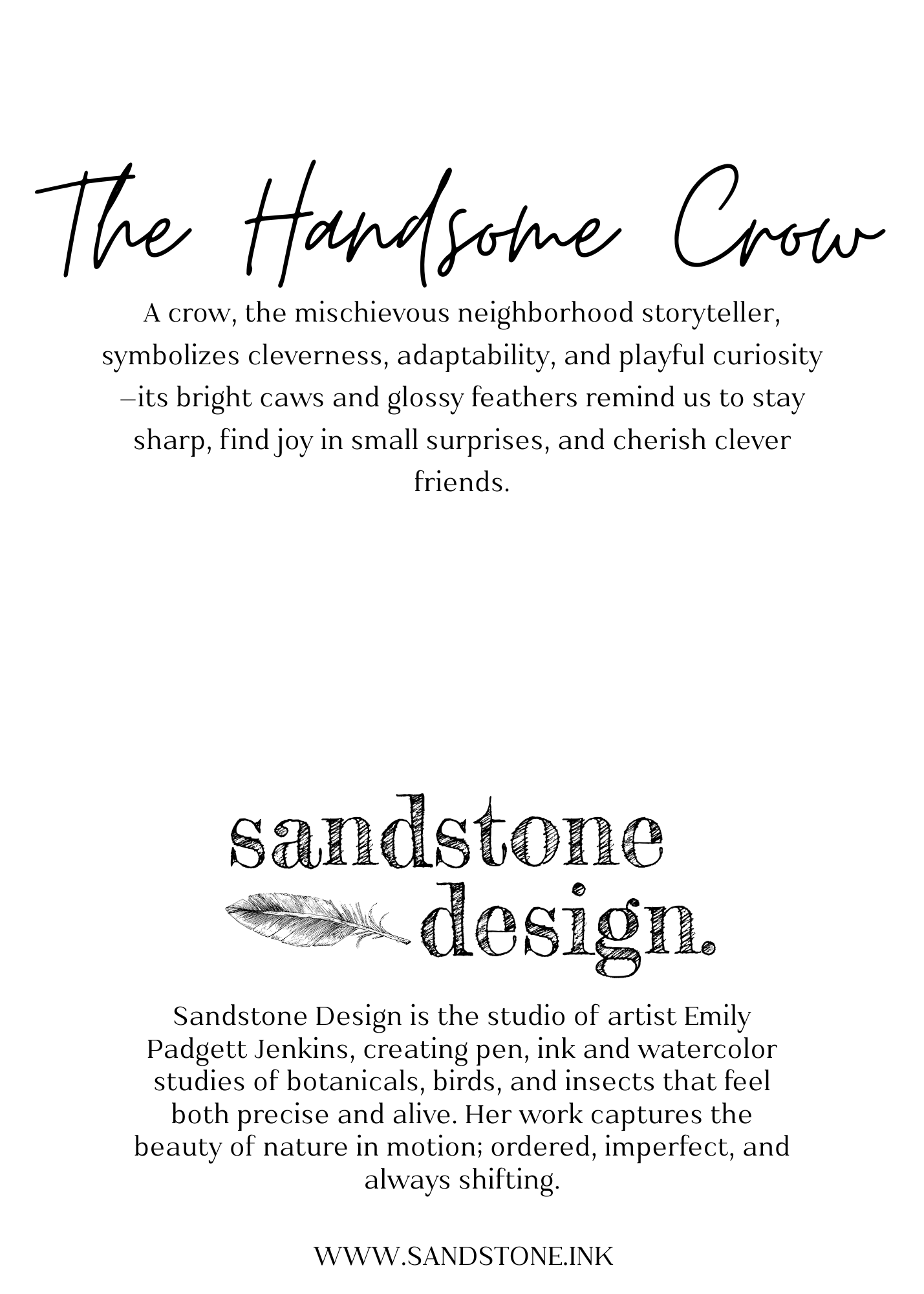 The Handsome Crow