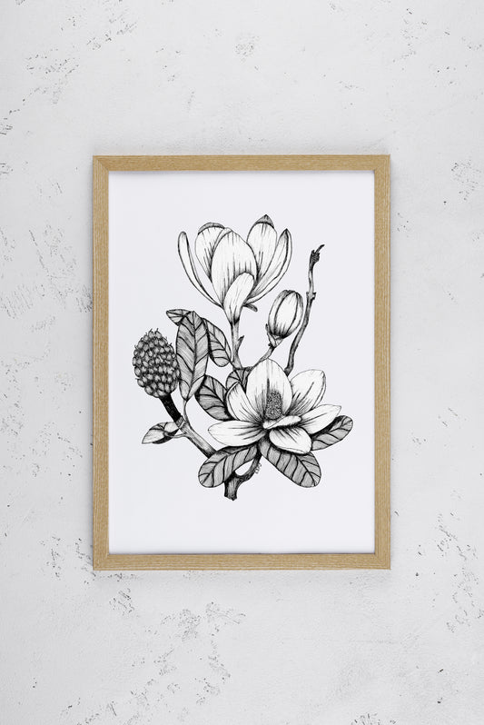 Magnolias Print