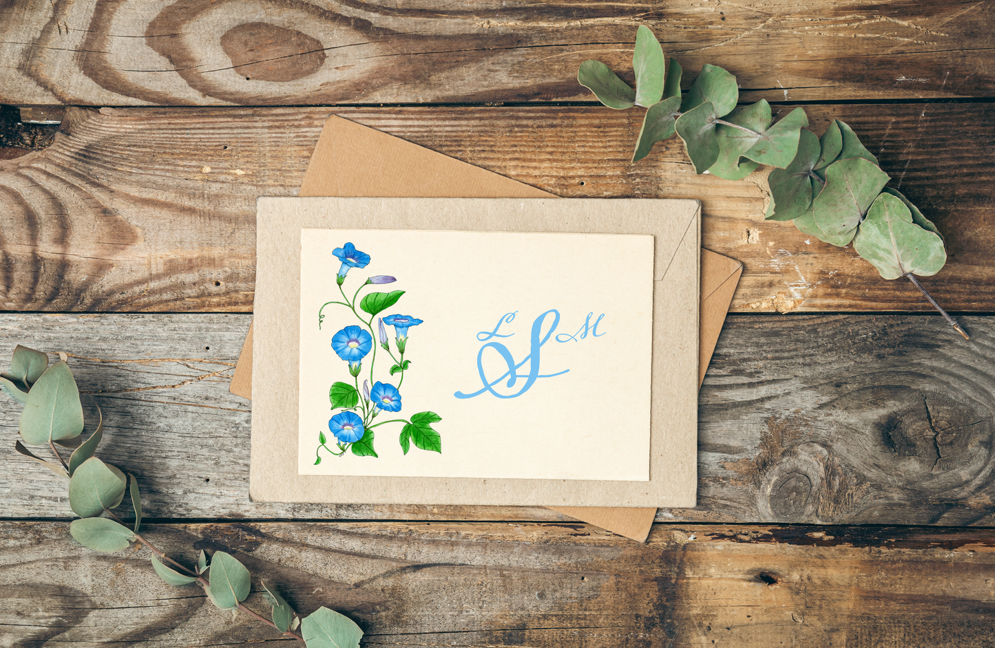 Morning Glory Card Set