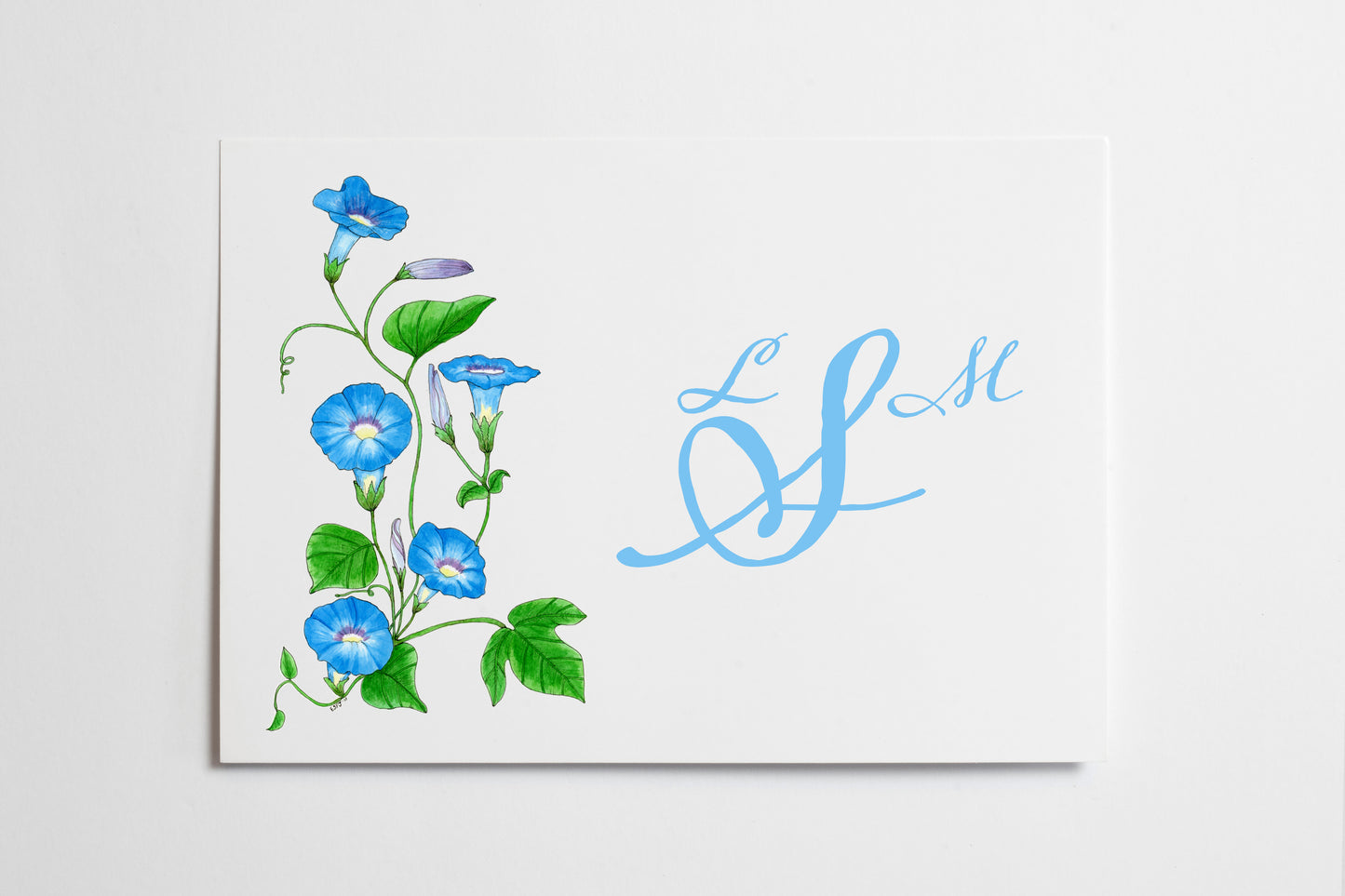 Morning Glory Card Set