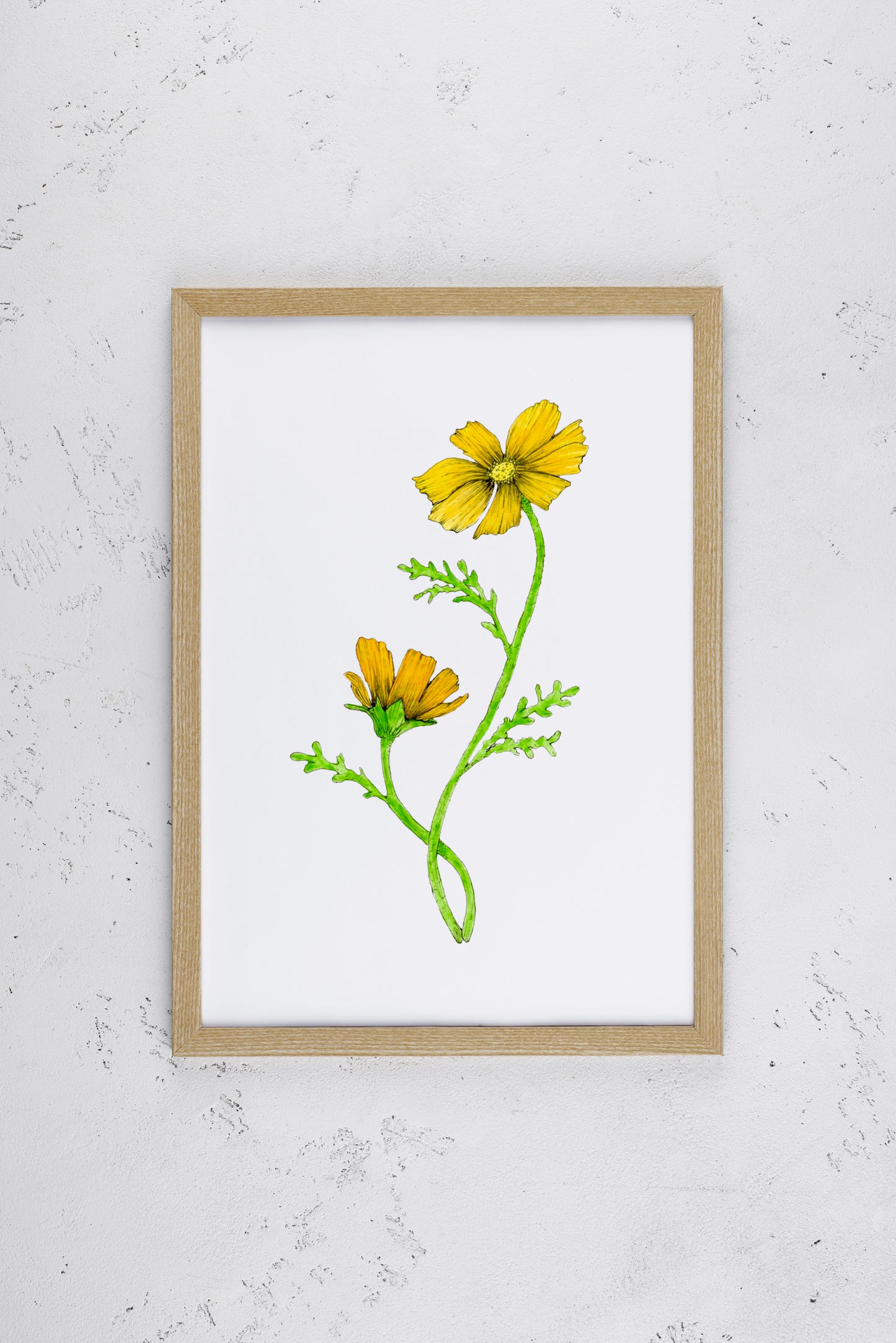 Happy Orange Cosmos Print