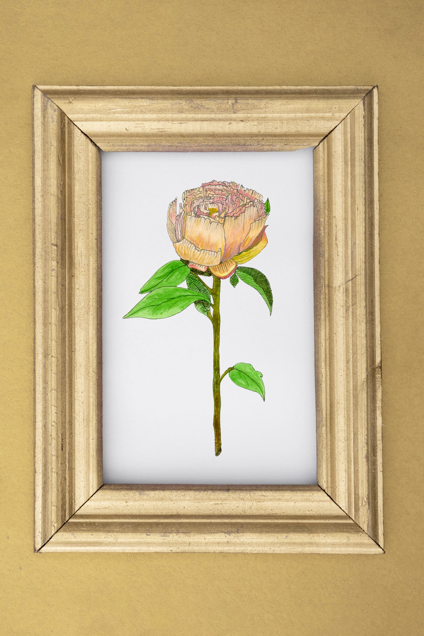 Peach Peony Print