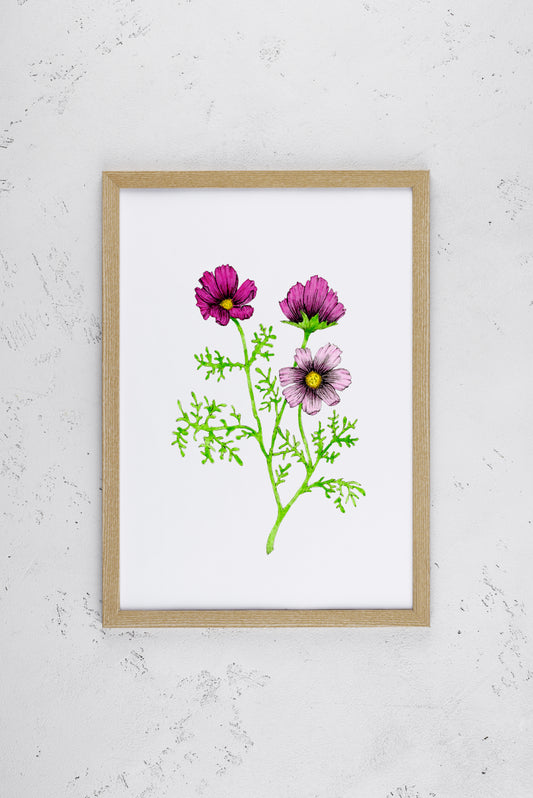 Pretty Pink Cosmos Print