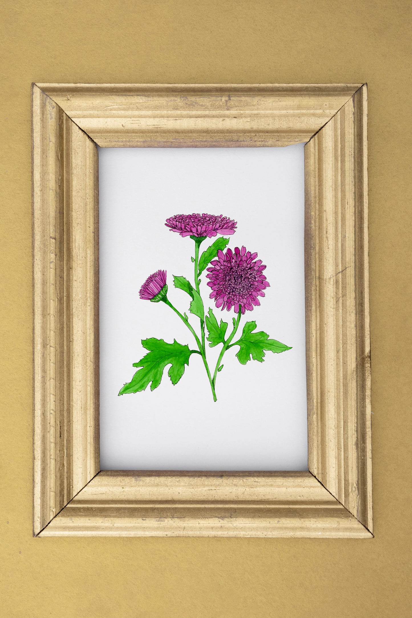 Pure Violet Chrysanthemum Print