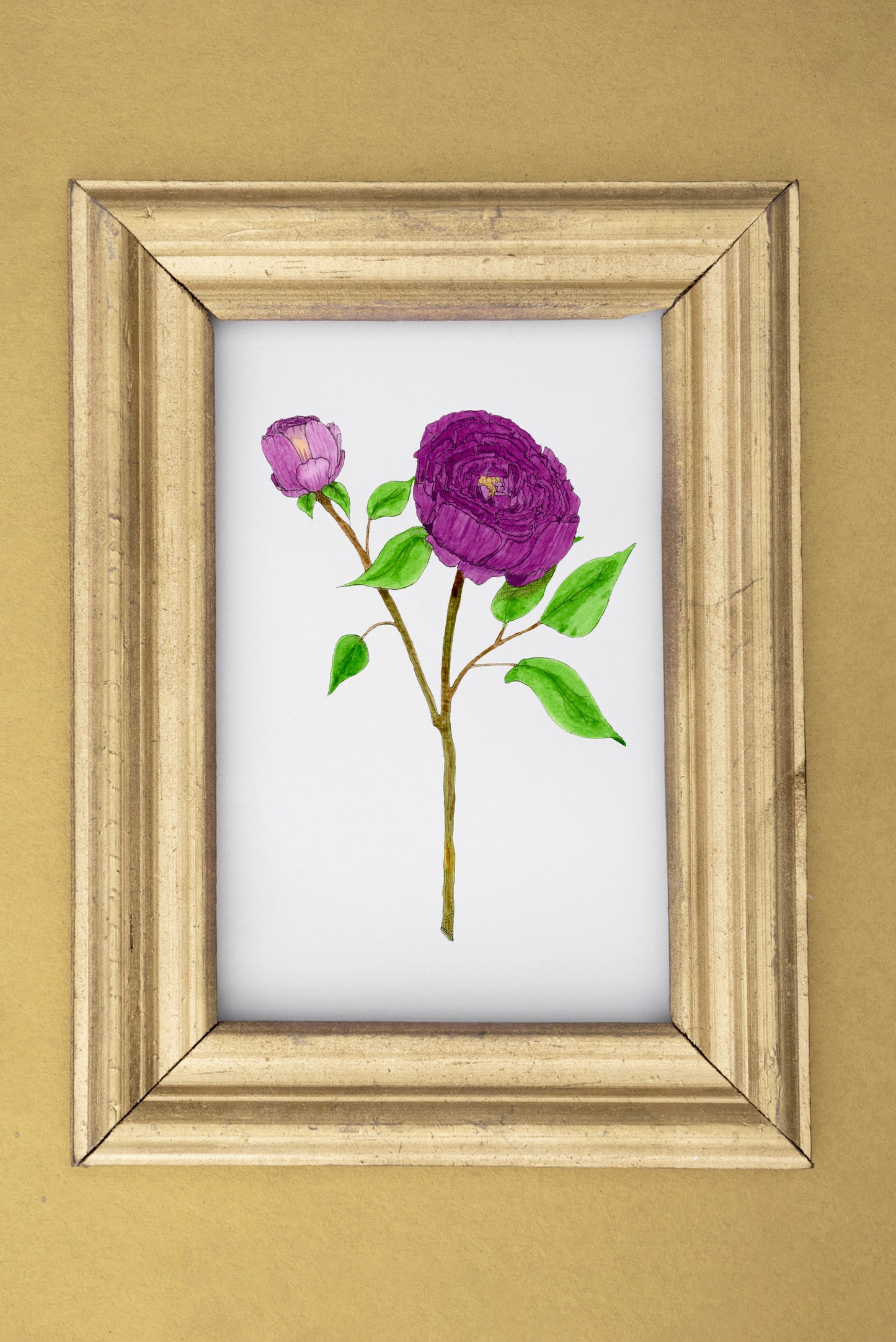 Purple Peonies Print