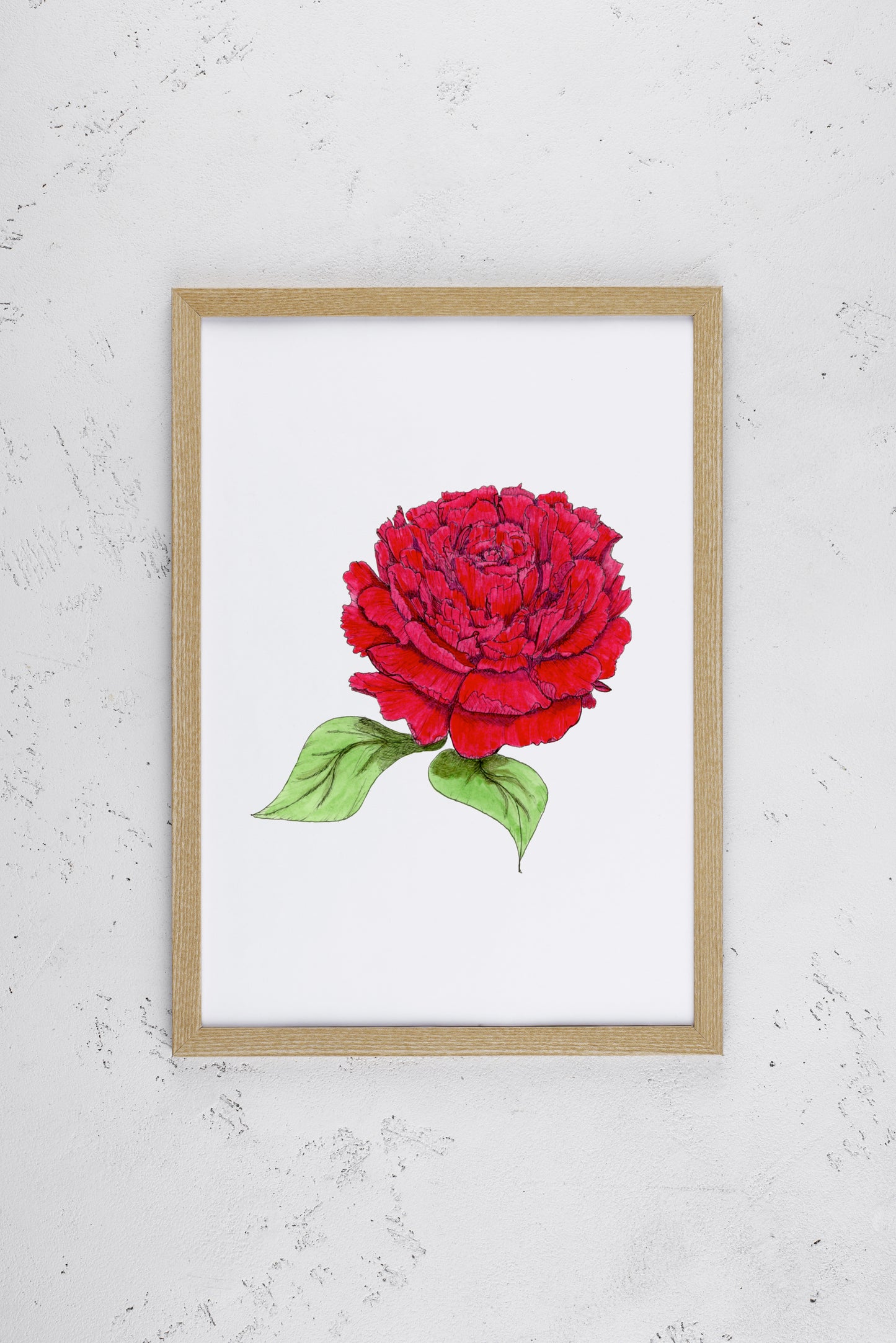 Rose Pink Peony Print