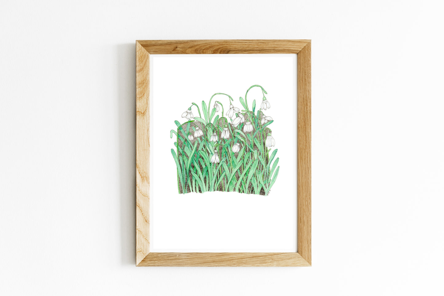 Whisper of Winter: Snowdrops