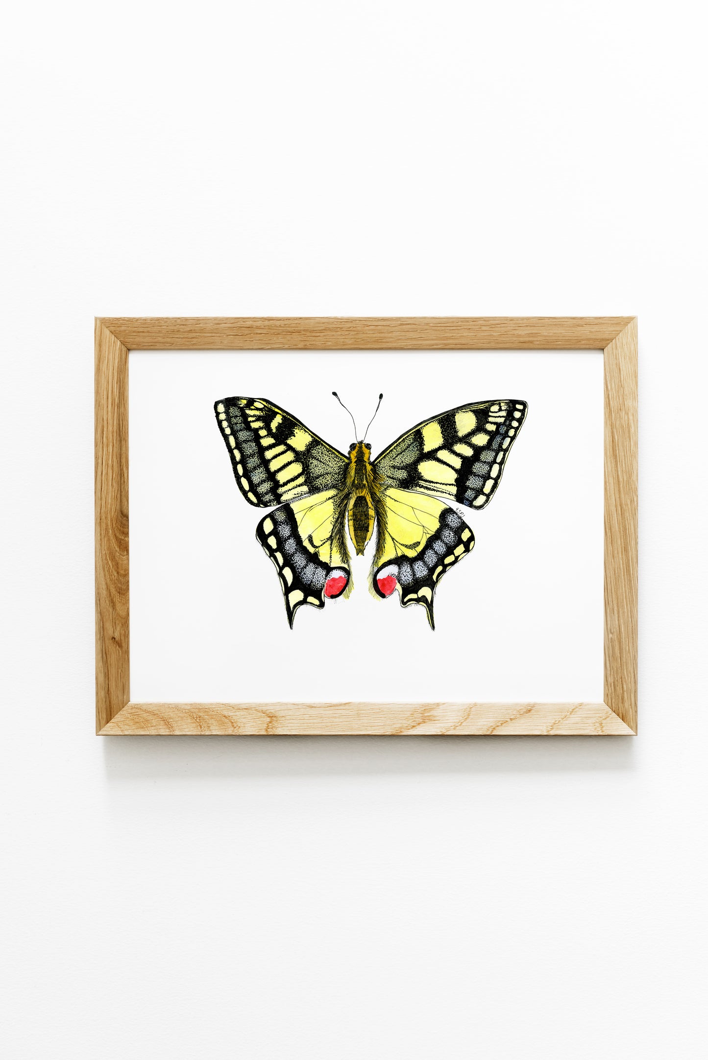 The Swallowtail Print