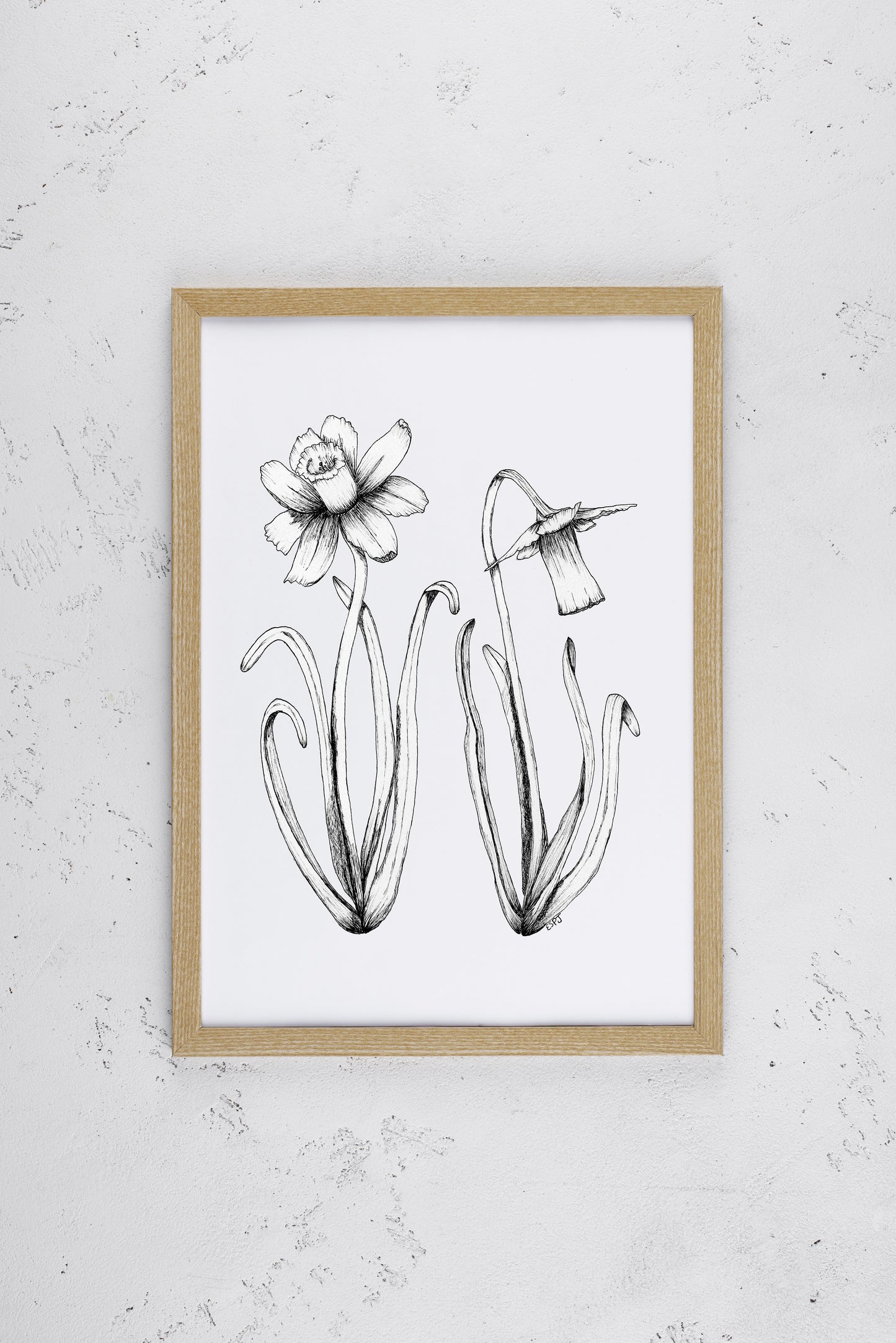 Signs of Spring: Daffodils Print