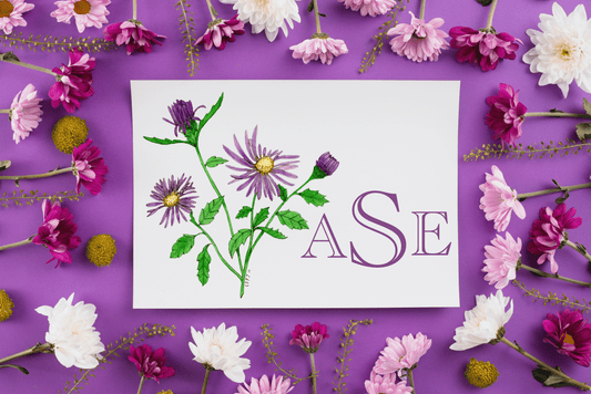 Purple Asters Note Card Set