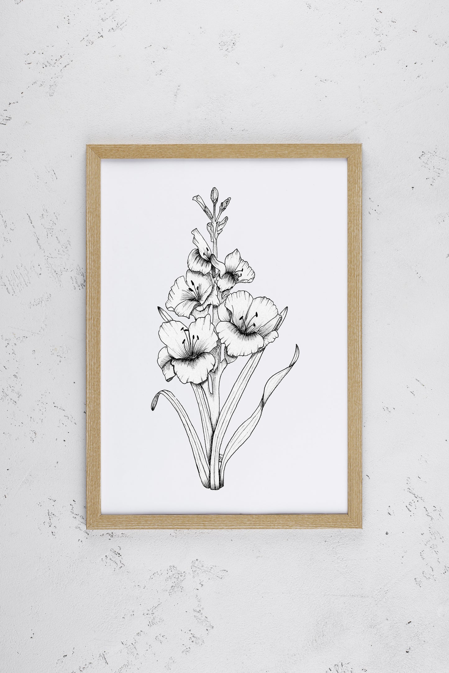 Gladiolus Print