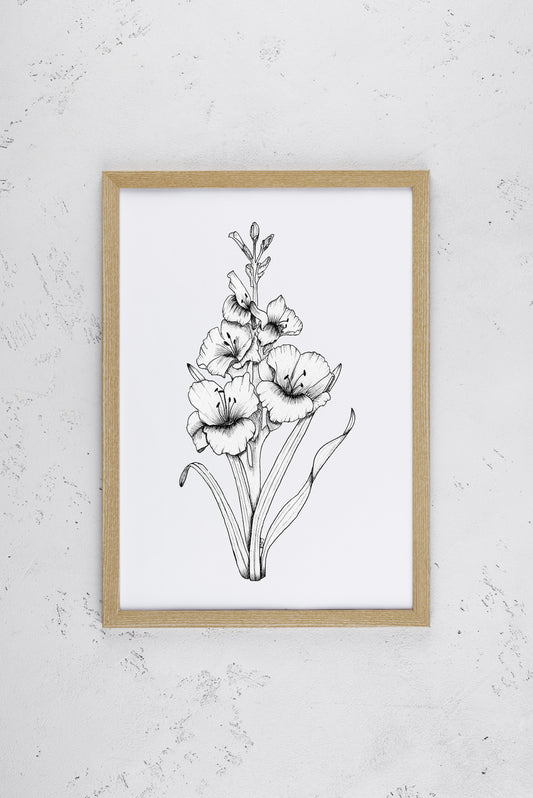 Gladiolus Print