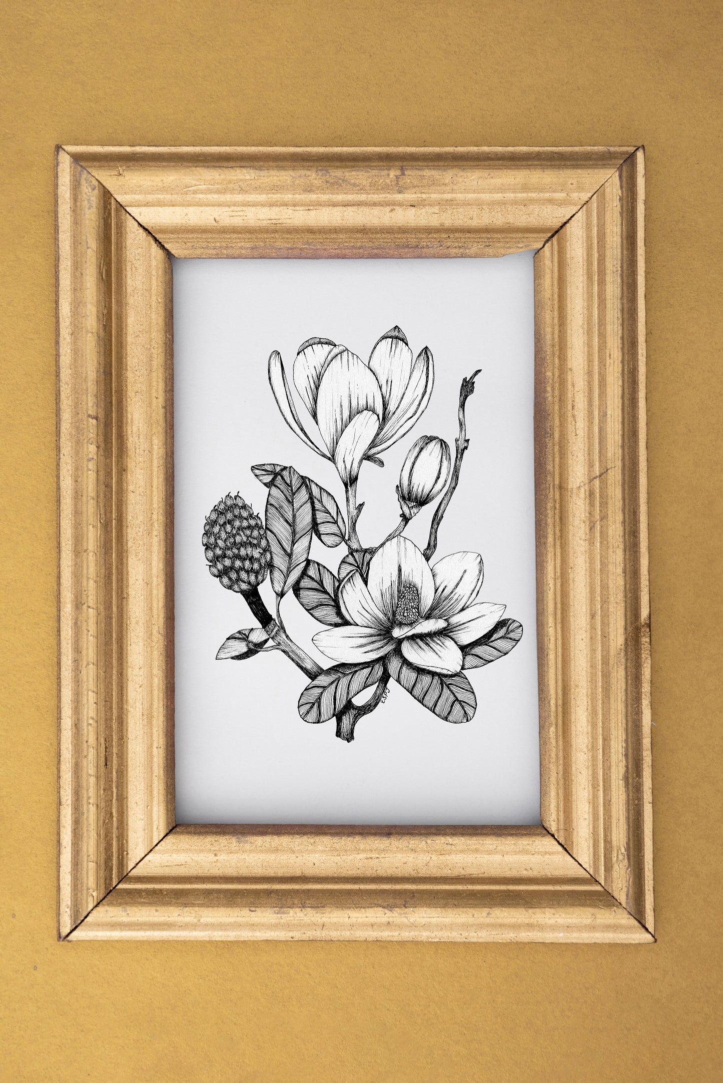 Magnolias Print