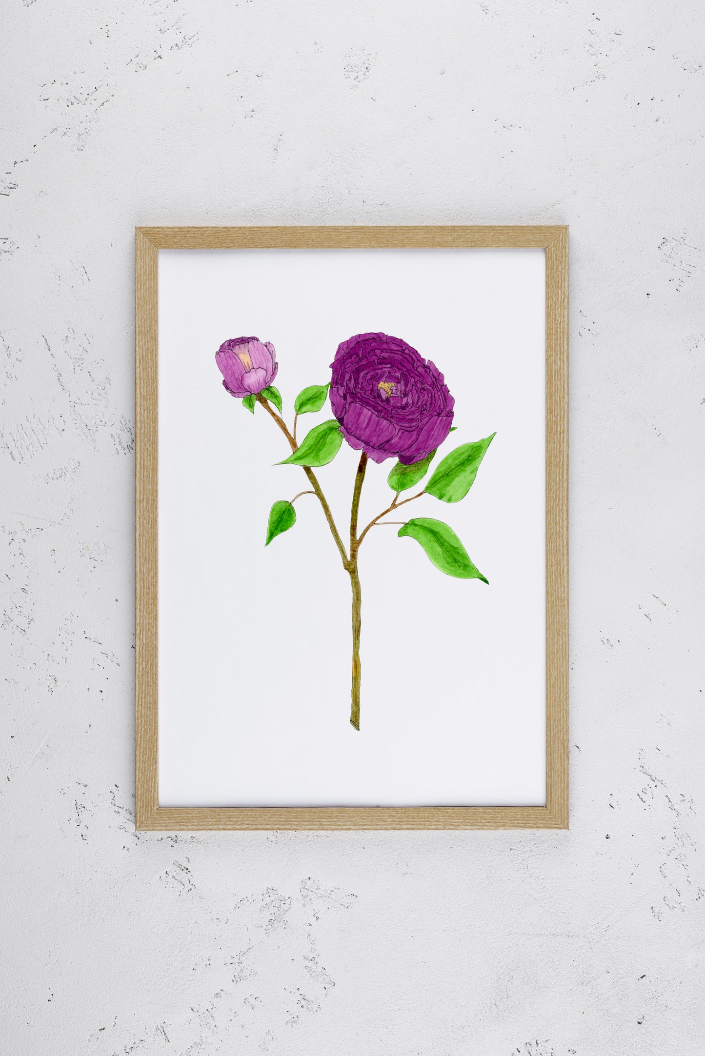 Purple Peonies Print