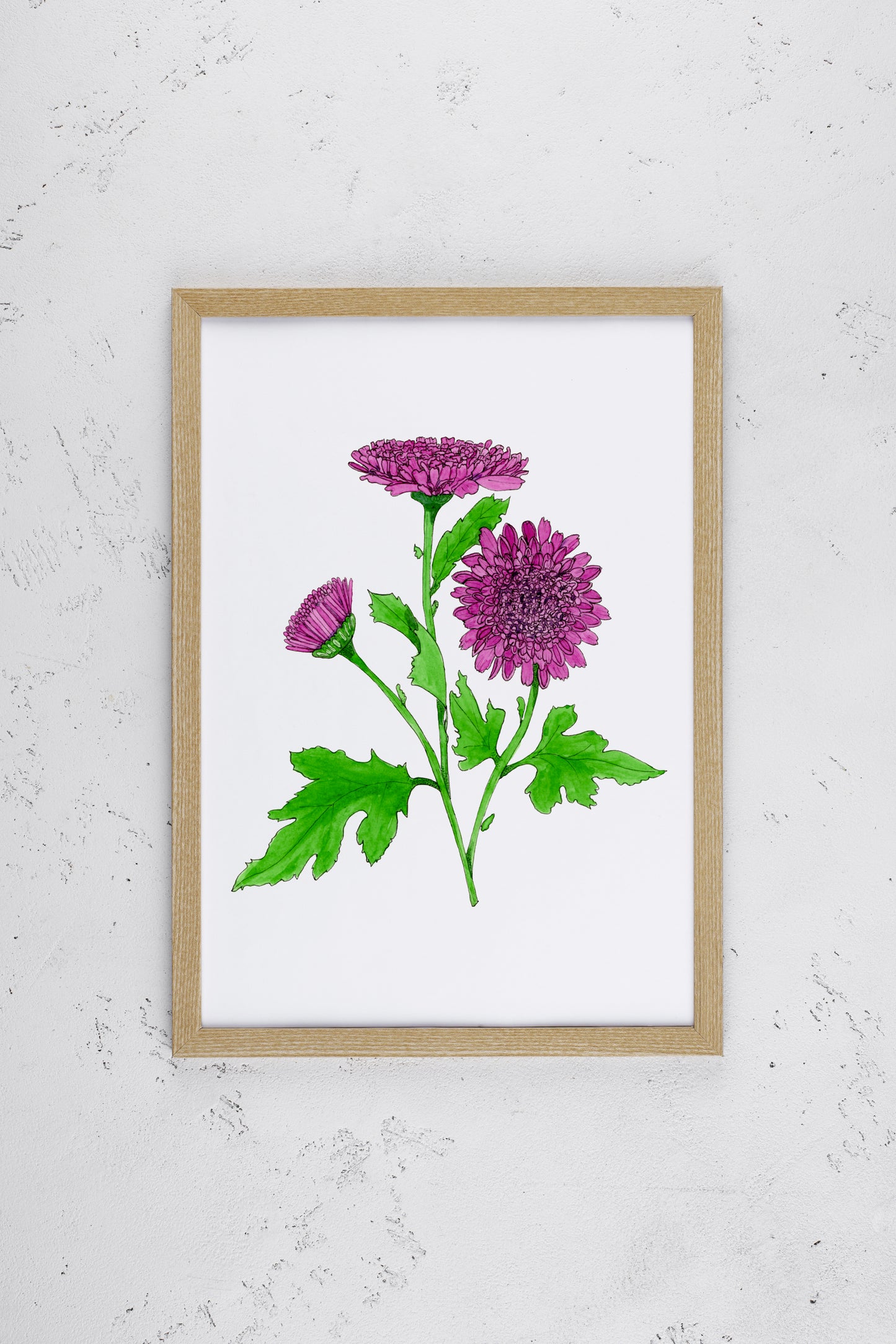 Pure Violet Chrysanthemum Print