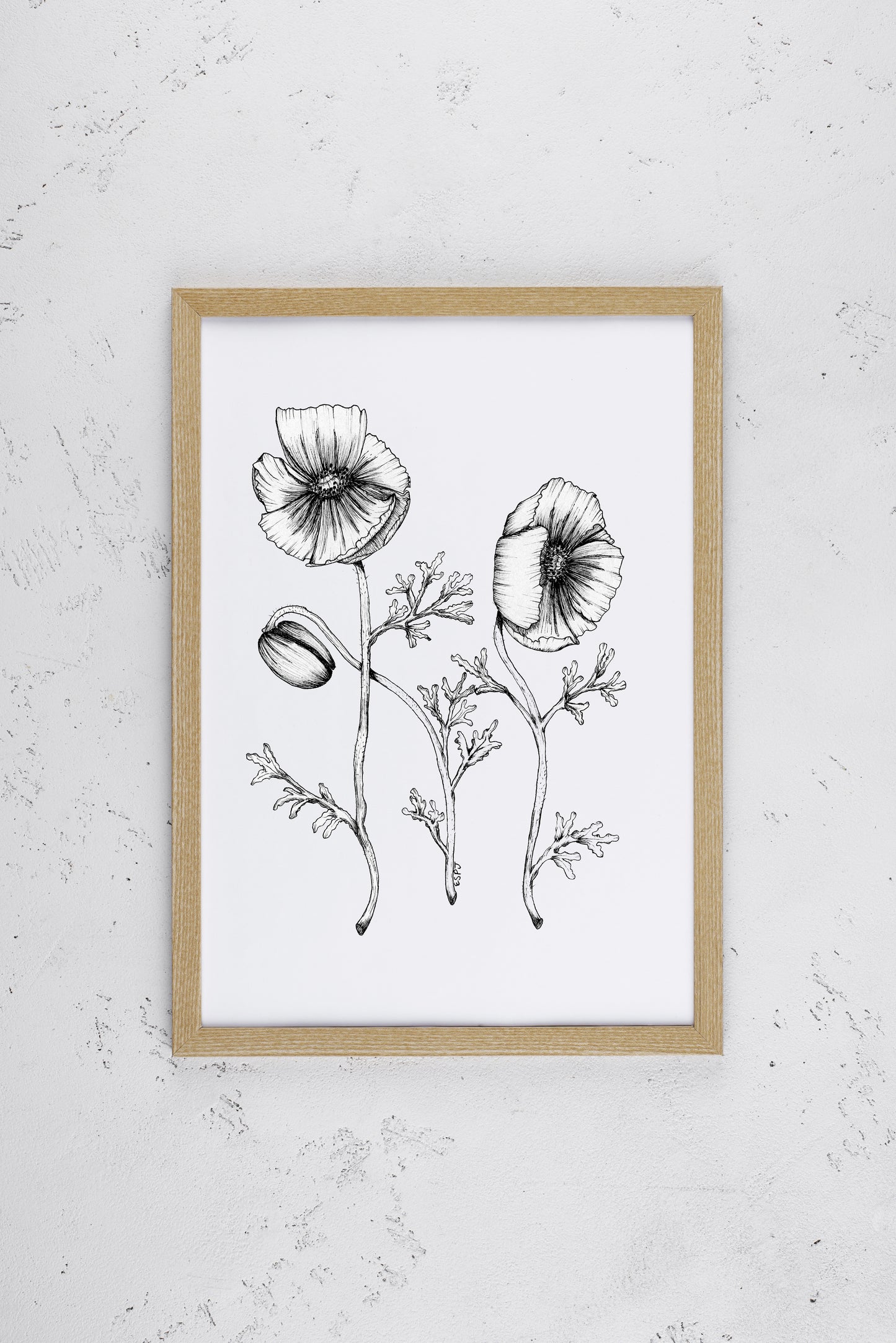 Peaceful Poppies Print