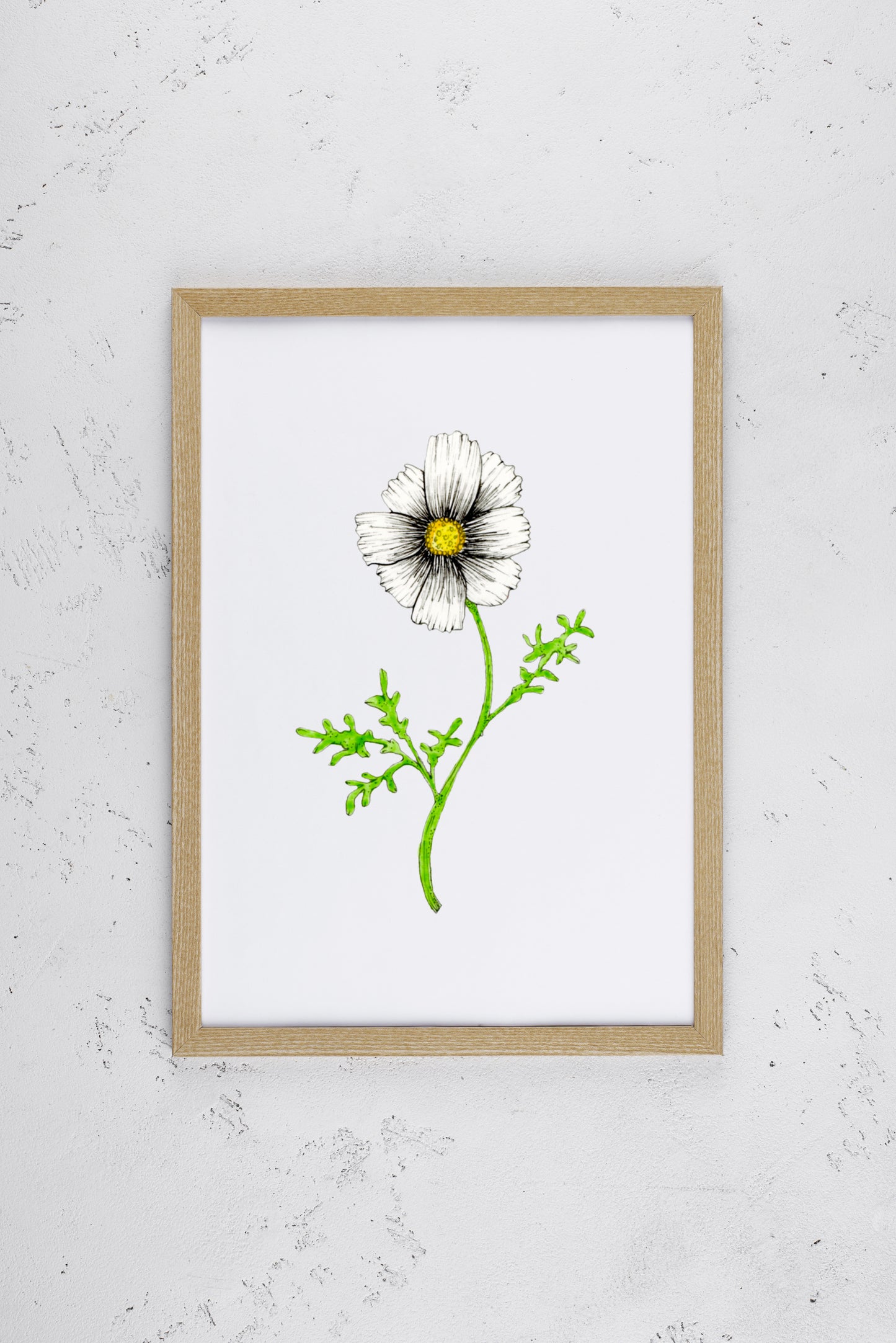 Wistful White Cosmo Print