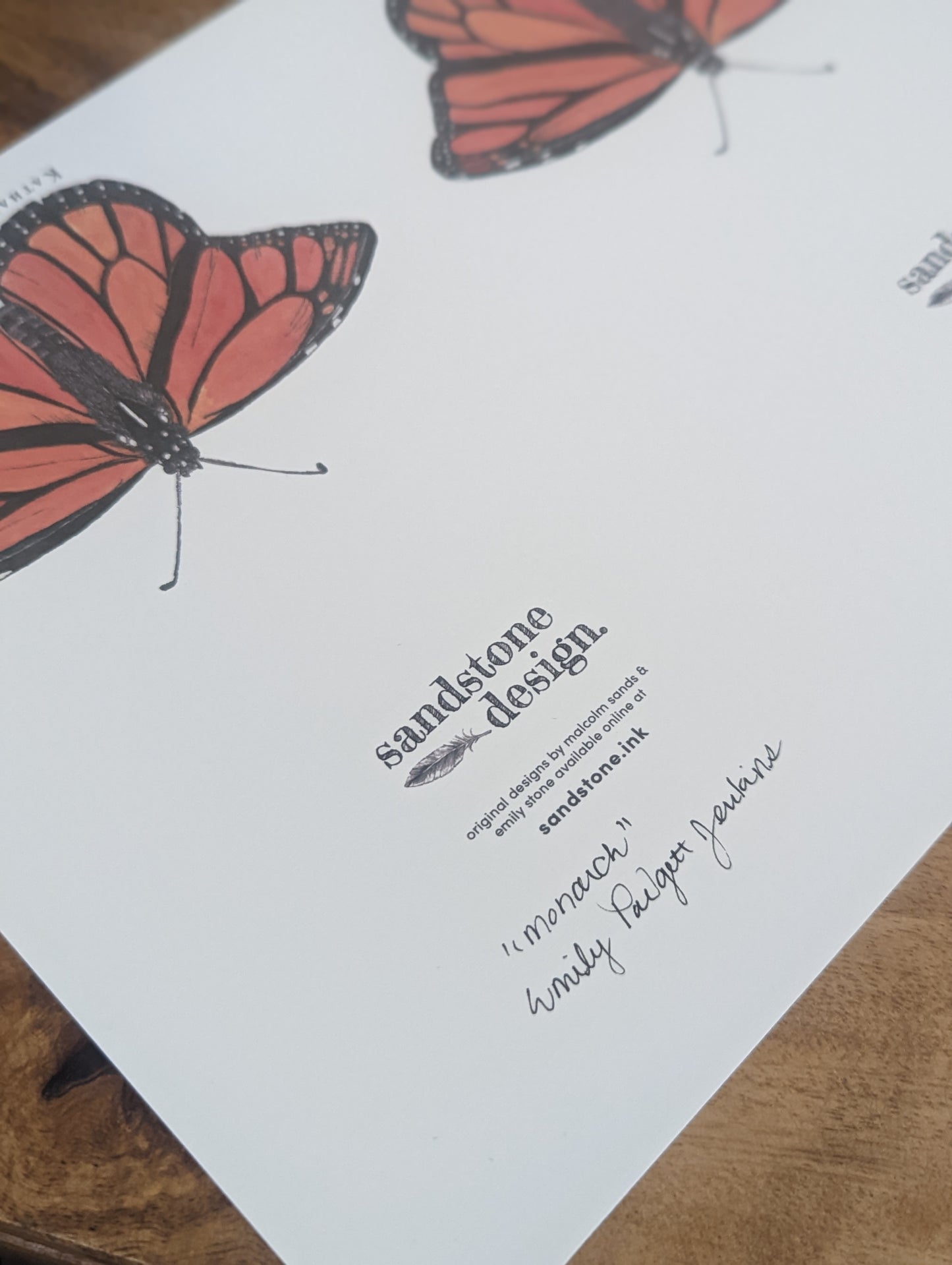 Monarch Butterfly Card Series